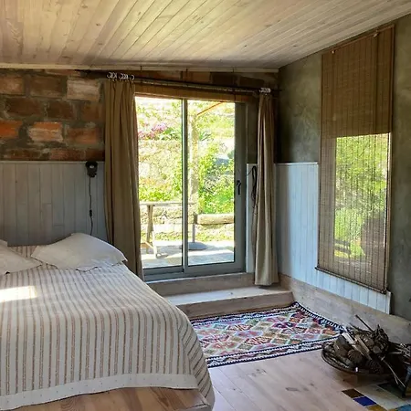 Do Dinamarquês Em Apartamento *