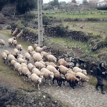 아파트 Do Dinamarques Em Arga de Baixo