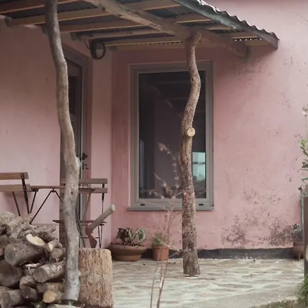 Do Dinamarquês Em Apartamento