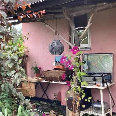 Do Dinamarquês Em Apartamento *