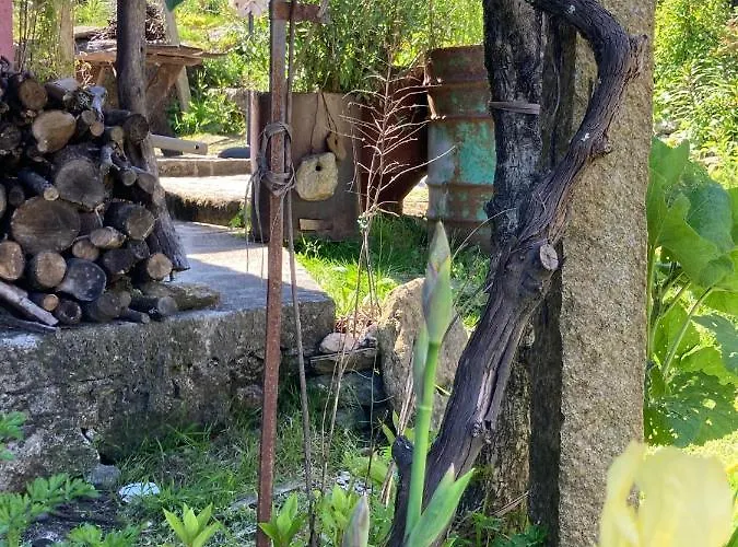 Do Dinamarques Em Arga de Baixo