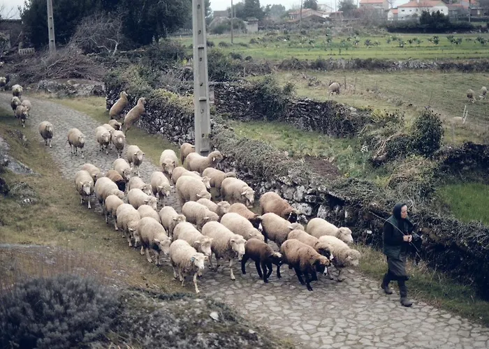 Lägenhet Do Dinamarques Em Arga de Baixo